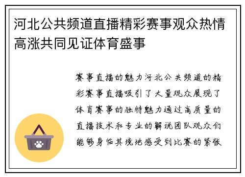 河北公共频道直播精彩赛事观众热情高涨共同见证体育盛事